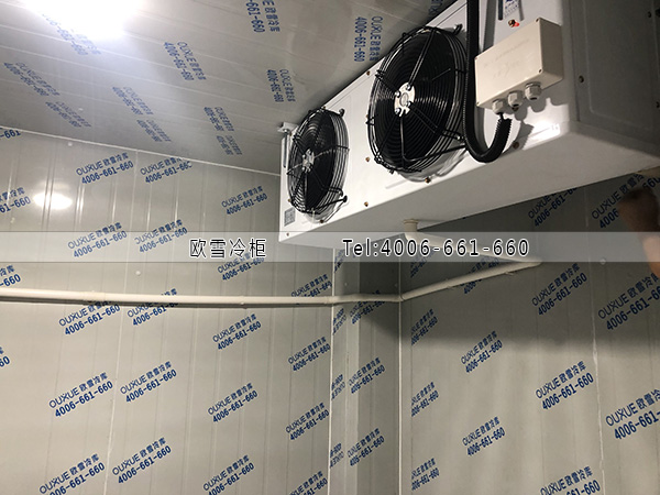 1606535601318656.jpg 1600671246202713.jpg