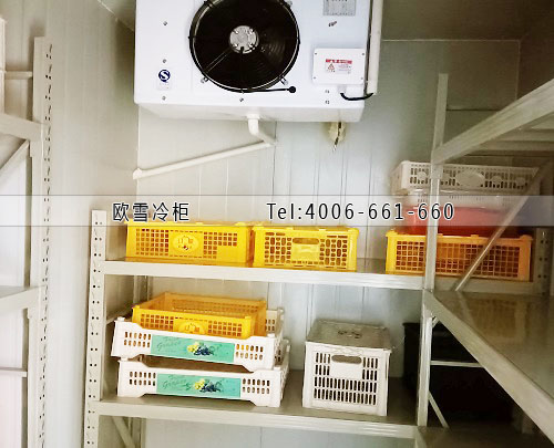 水果保鮮冷庫.jpg