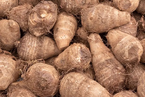 芋頭冷庫安裝.jpg 芋頭冷庫安裝.jpg