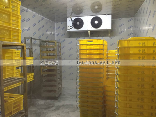 廣東省深圳市寶安區中悅農夫冷藏庫