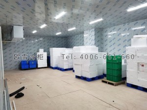 東莞市德聚膠接技術有限公司冷凍冷庫安裝