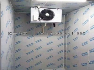 重慶市銅梁區(qū)嘻嘻果水果店小型保鮮冷庫安裝