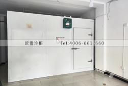 冷庫(kù)設(shè)計(jì)-重慶40立方的小型蔬菜保鮮冷庫(kù)安裝