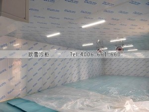 湖南省岳陽市種子催熟冷庫安裝案例