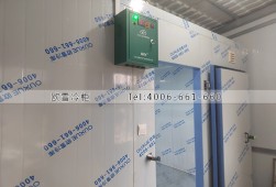 水果冷庫(kù)-湖南20立方的小型水果保鮮冷庫(kù)安裝